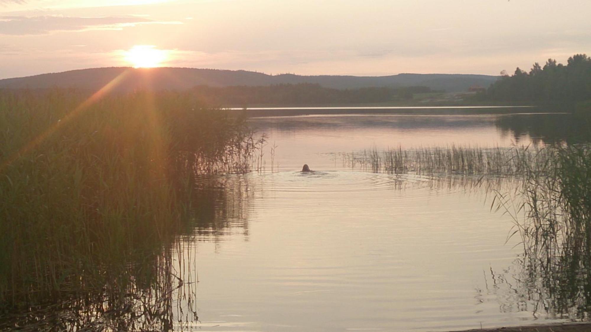 Röda stugan Hedemora Bagian luar foto